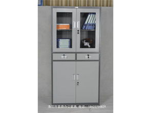 洛陽工廠專業(yè)鋼制財務柜、上移玻璃文件柜與鋼制器械柜的綜合指南